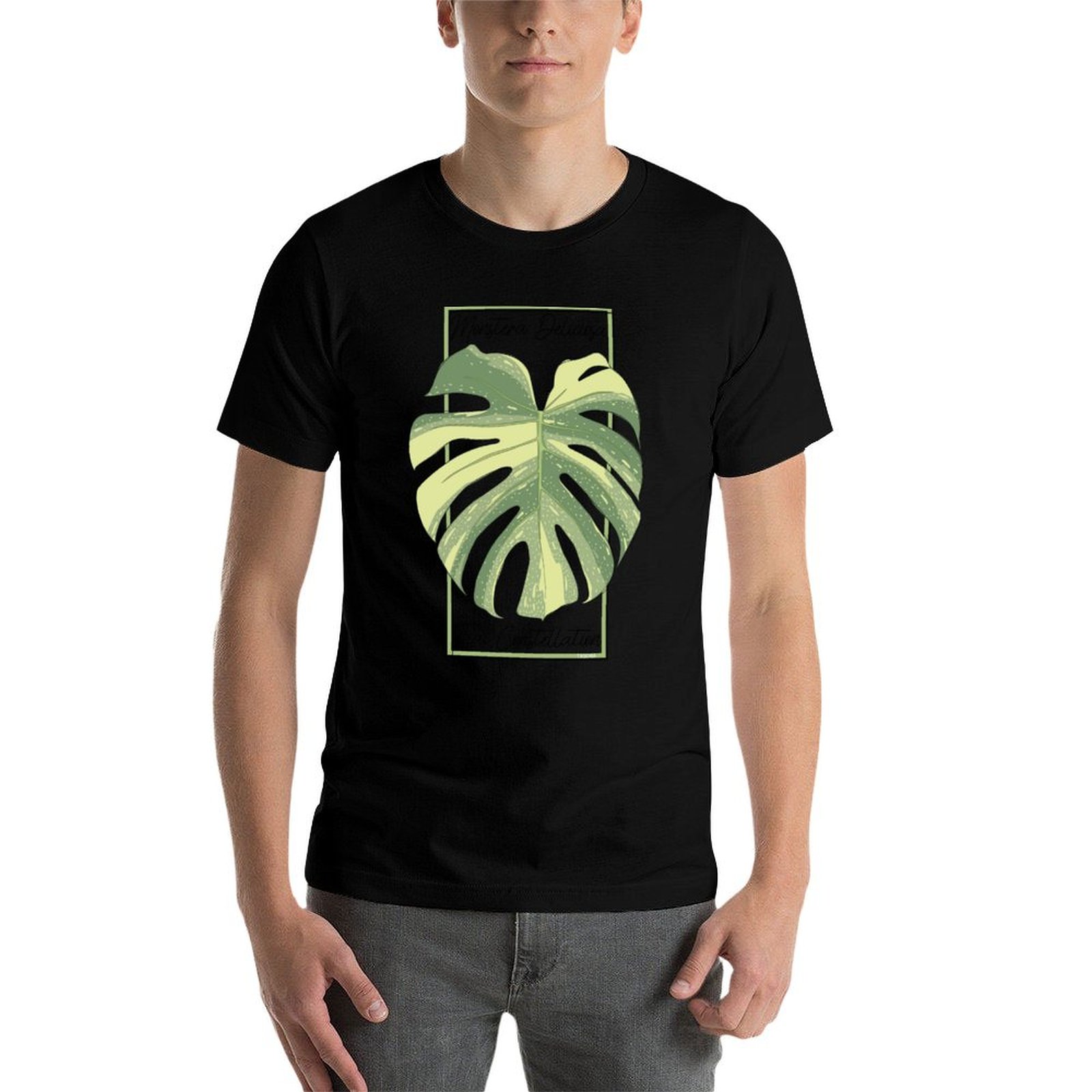 เสื้อยืดลายมอนสเตอร่า ไทย คอนส - Monstera Thai Constellation บทวิจารณ์และราคา