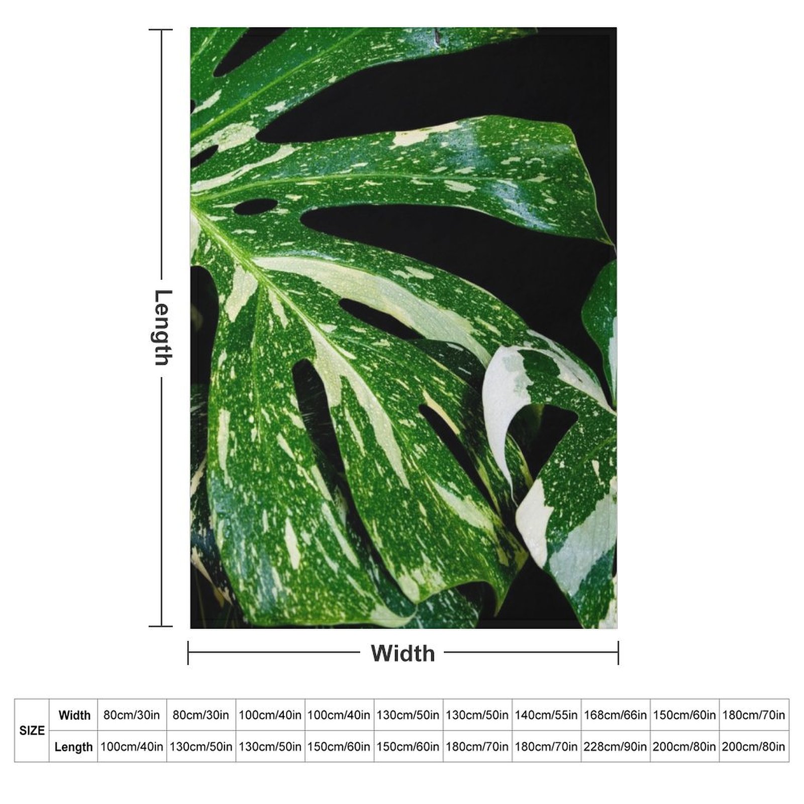 ผ้าห่มลายกลุ่มดาวมอนสเตอร่าไทย - Monstera Thai Constellation บทวิจารณ์และราคา
