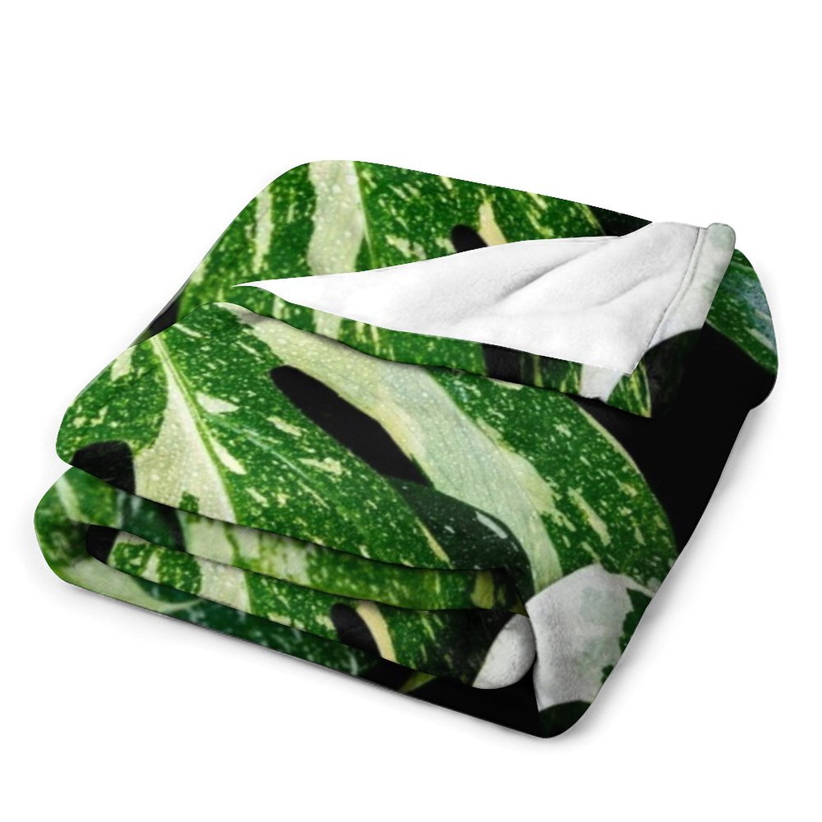 ผ้าห่มลายกลุ่มดาวมอนสเตอร่าไทย - Monstera Thai Constellation บทวิจารณ์และราคา