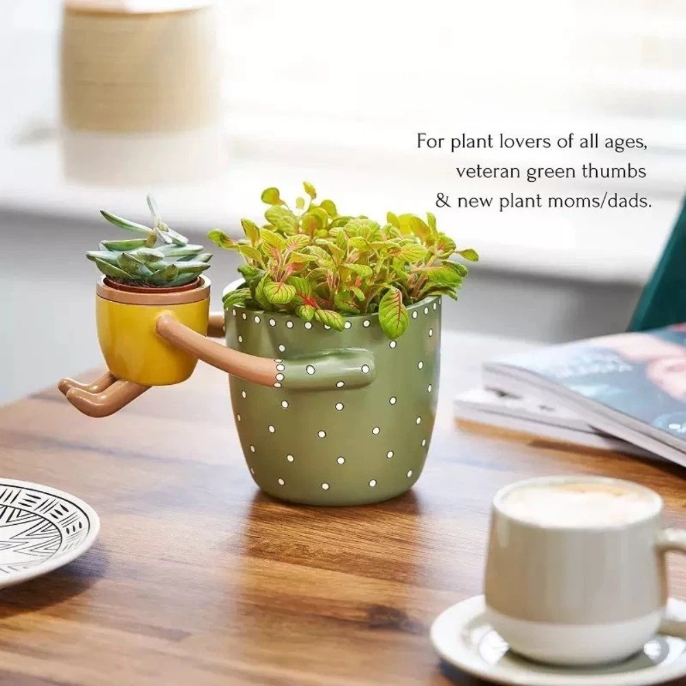 กระถางเรซิ่นลายจุดสำหรับปลูกต้ - Plant Parental บทวิจารณ์และราคา